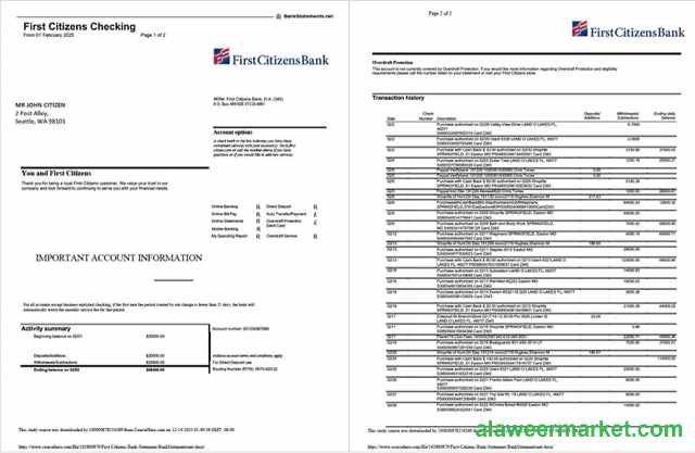 USA First Citizens Bank statement Word and PDF template, 2 pages